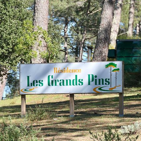Apt Les Grands Pins, Entre Foret, Lac Et Ocean Carcans Exterior foto