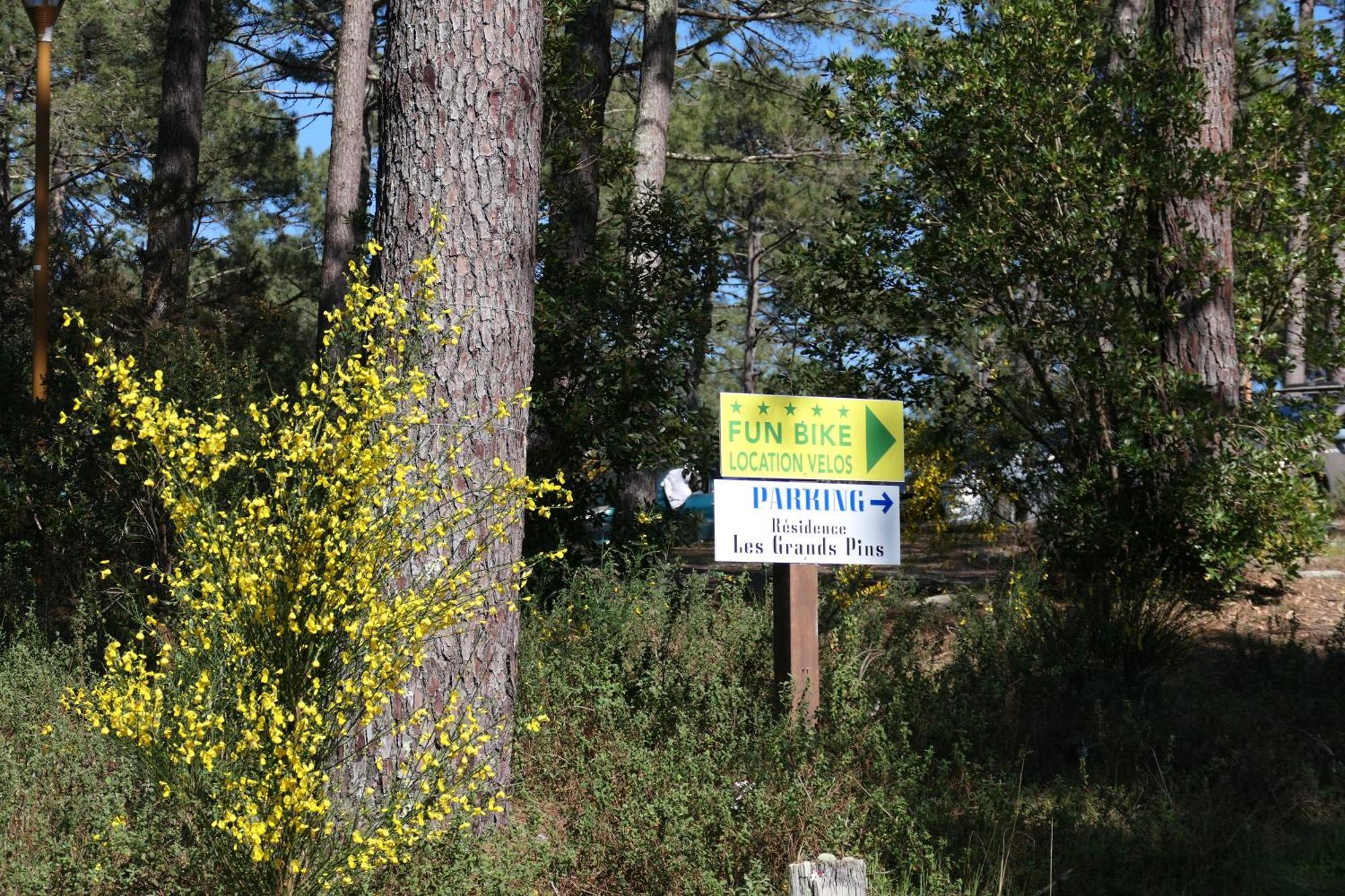 Apt Les Grands Pins, Entre Foret, Lac Et Ocean Carcans Exterior foto